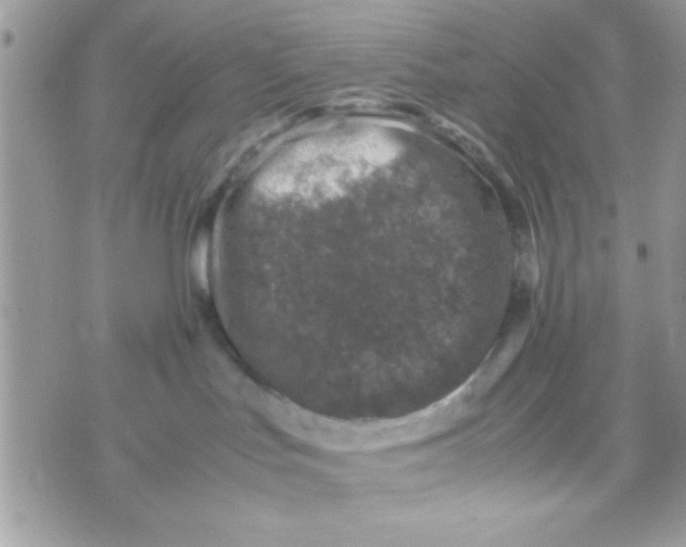 X0000070410047200606302047