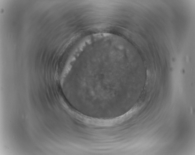 X0000070410048200606302047