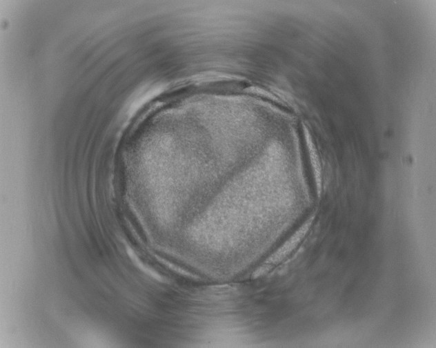 X0000070410050200606302046