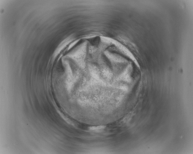 X0000070410051200606302046