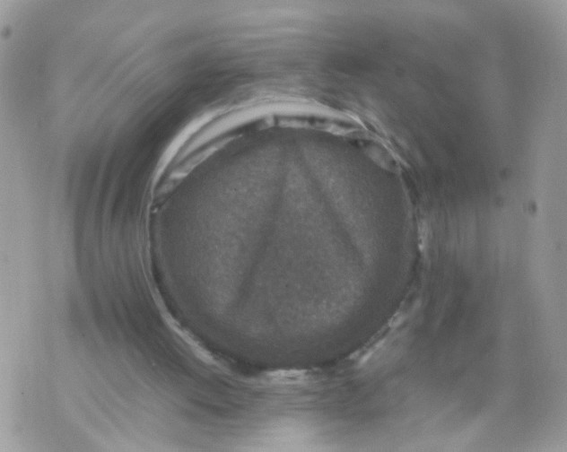 X0000070410052200606302046