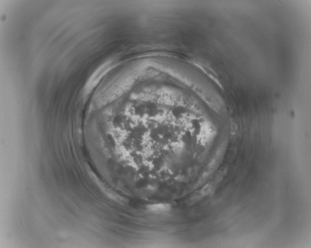 X0000070410053200606302046