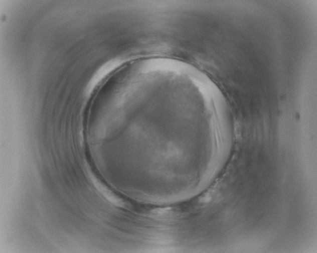 X0000070410054200606302046