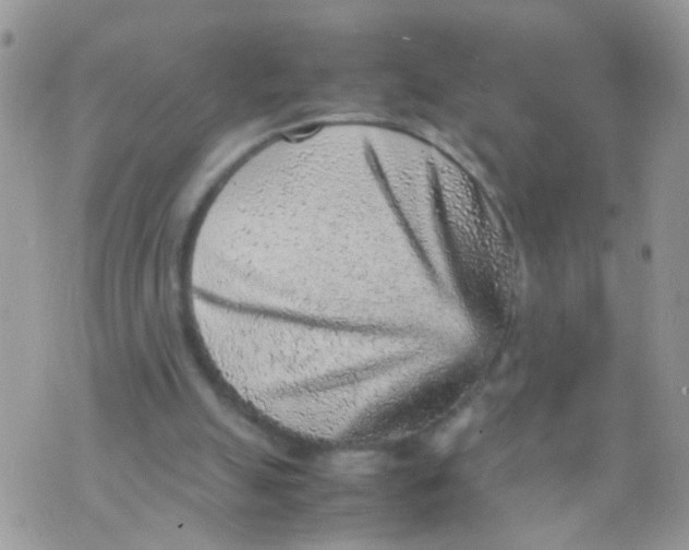 X0000070410055200606302046