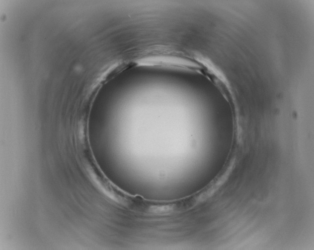 X0000070410057200606302046