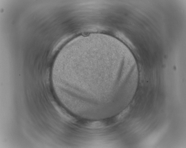 X0000070410058200606302046