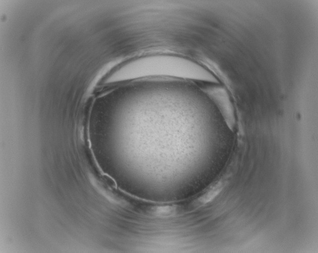 X0000070410060200606302046