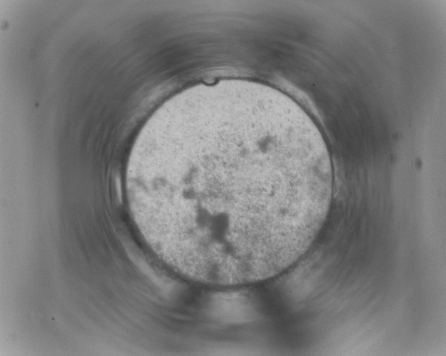 X0000070410061200606302046