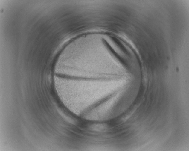 X0000070410063200606302046