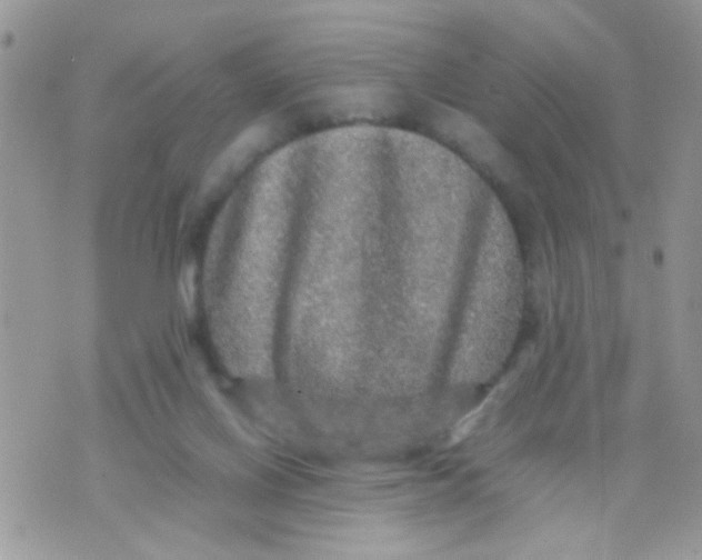 X0000070410070200606302047