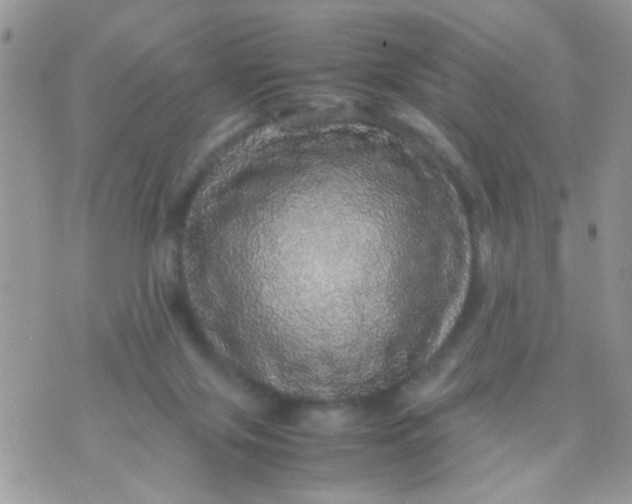 X0000070410071200606302047