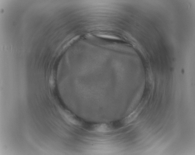 X0000070410074200606302047