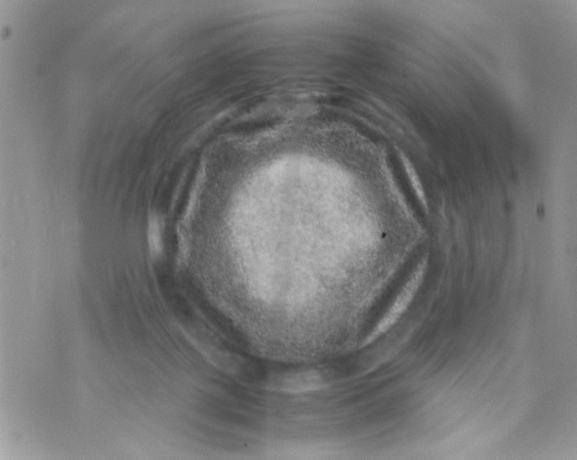 X0000070410075200606302047