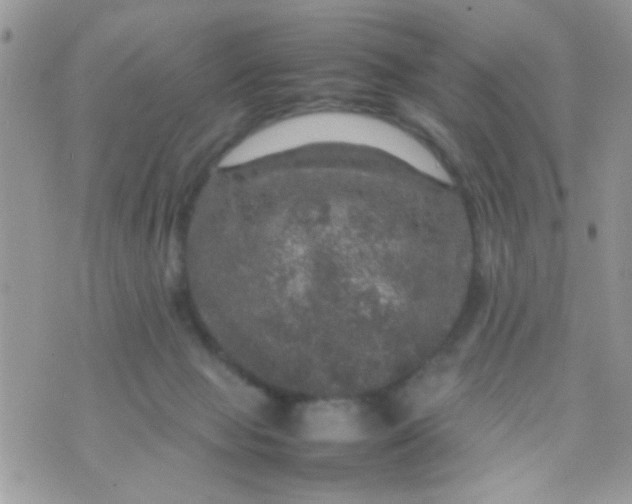 X0000070410077200606302047