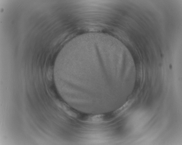 X0000070410078200606302047