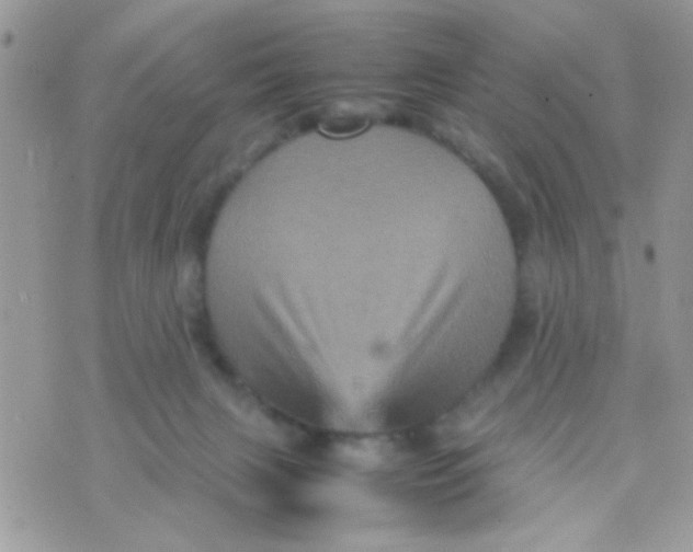 X0000070410079200606302047