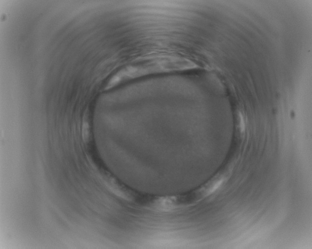 X0000070410080200606302047