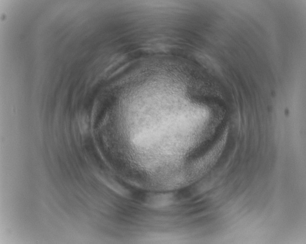 X0000070410081200606302047