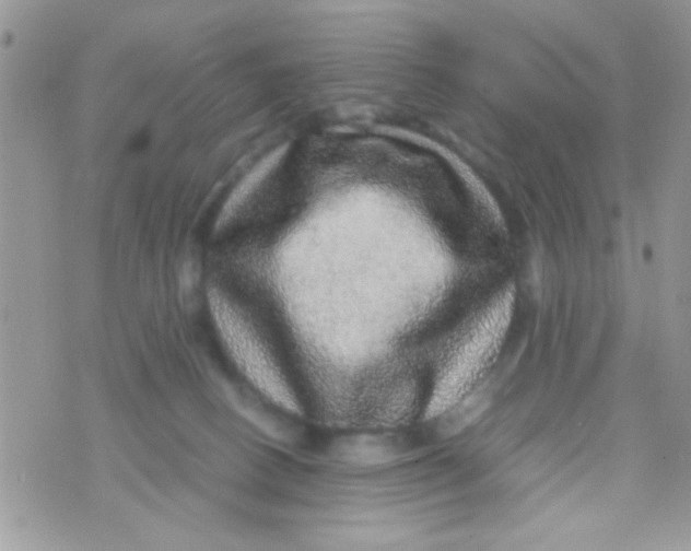 X0000070410082200606302047