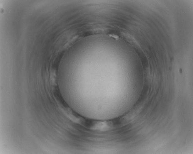 X0000070410083200606302047