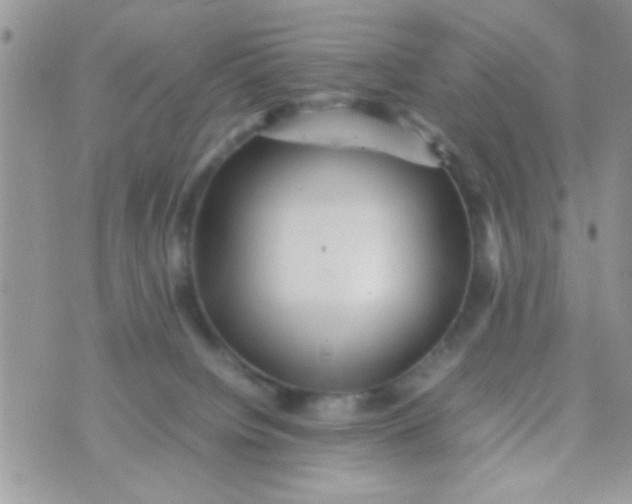 X0000070410084200606302047