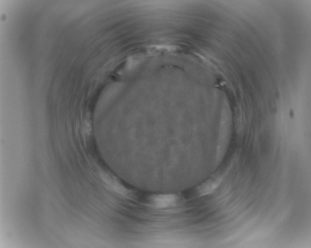 X0000070410085200606302047