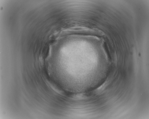 X0000070410086200606302047