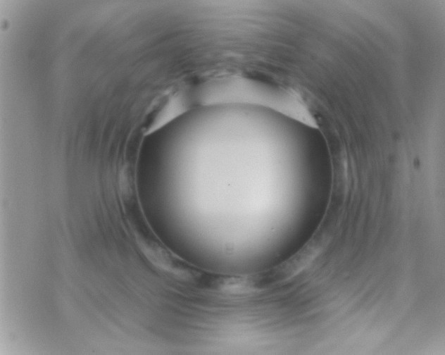 X0000070410088200606302047