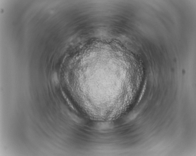 X0000070410089200606302047