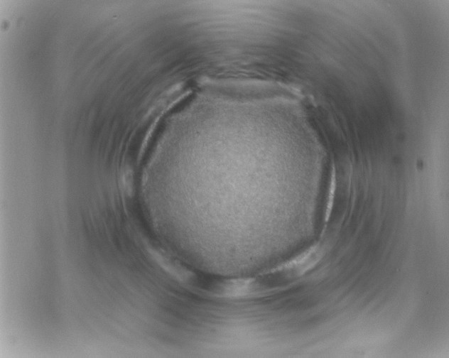 X0000070410090200606302047