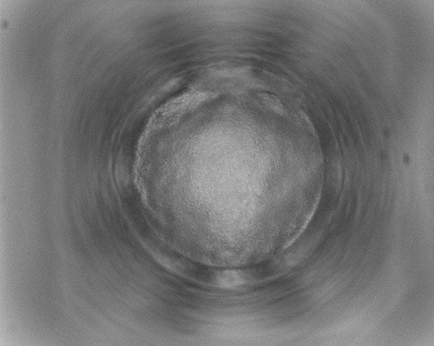 X0000070410091200606302047