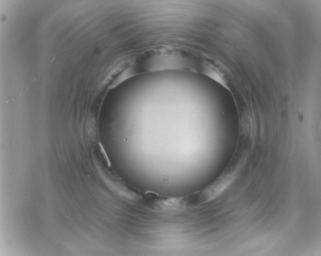 X0000070410092200606302047