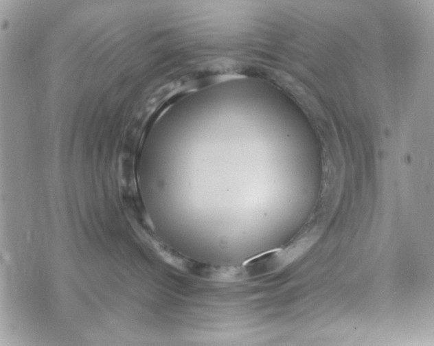 X0000070410096200606302047