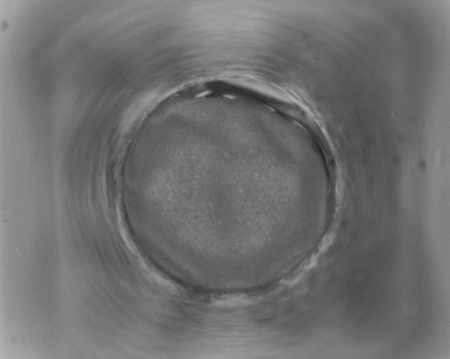 X0000070410097200606302046