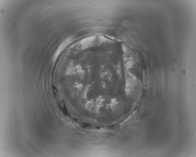 X0000070410099200606302046