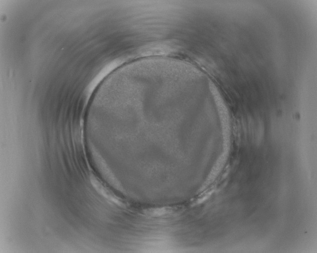 X0000070410100200606302046