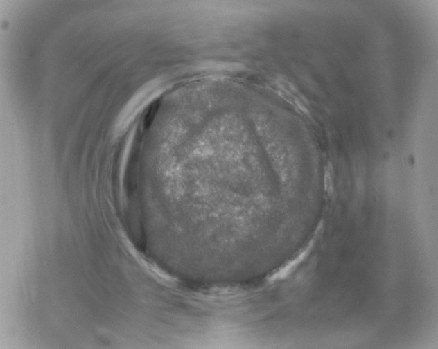 X0000070410101200606302046