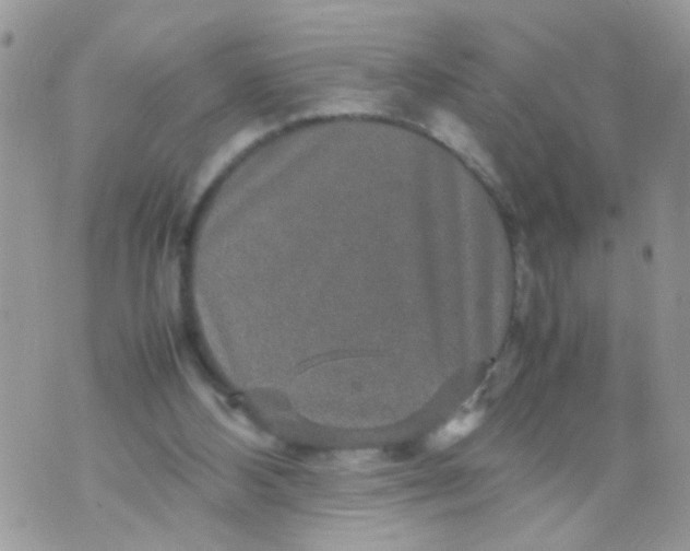 X0000070410108200606302046