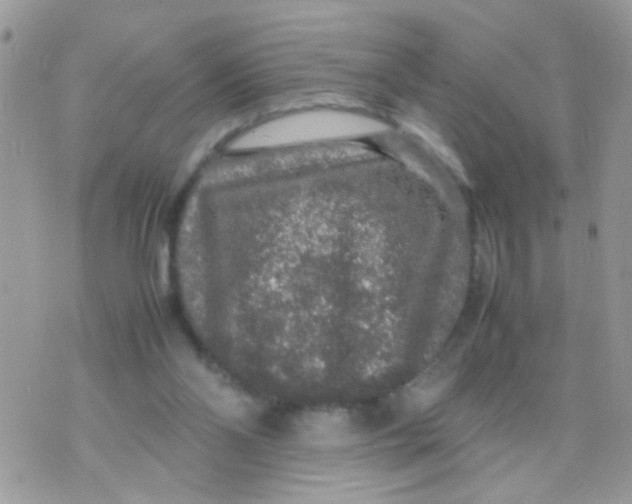 X0000070410110200606302046