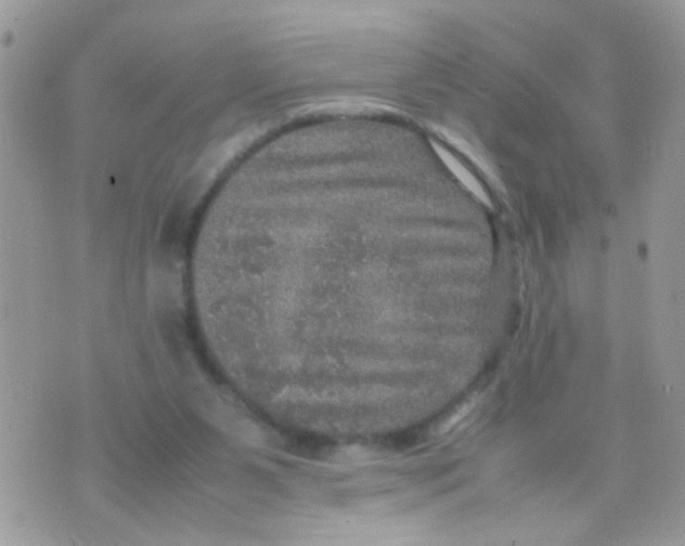 X0000070410111200606302046