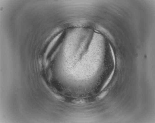 X0000070410113200606302046