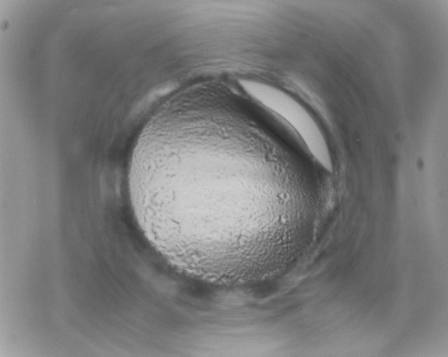 X0000070410115200606302046