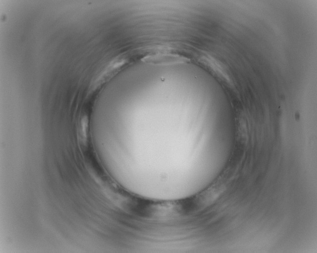 X0000070410118200606302046