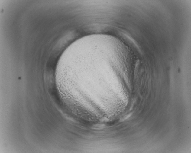 X0000070410119200606302046