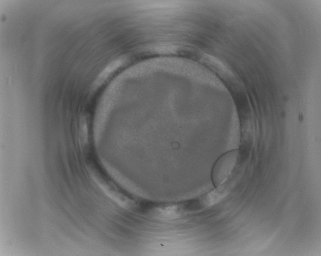 X0000070410120200606302046