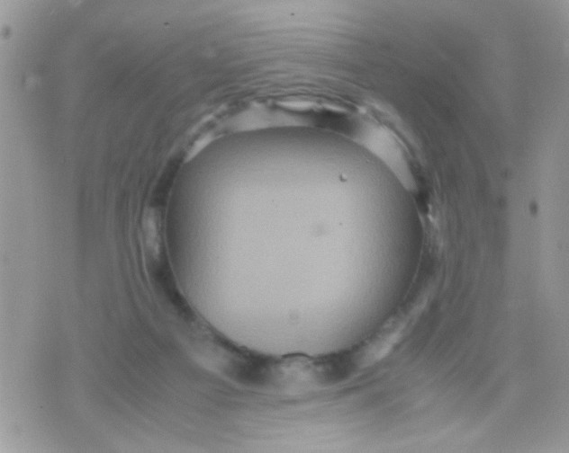 X0000070410121200606302046