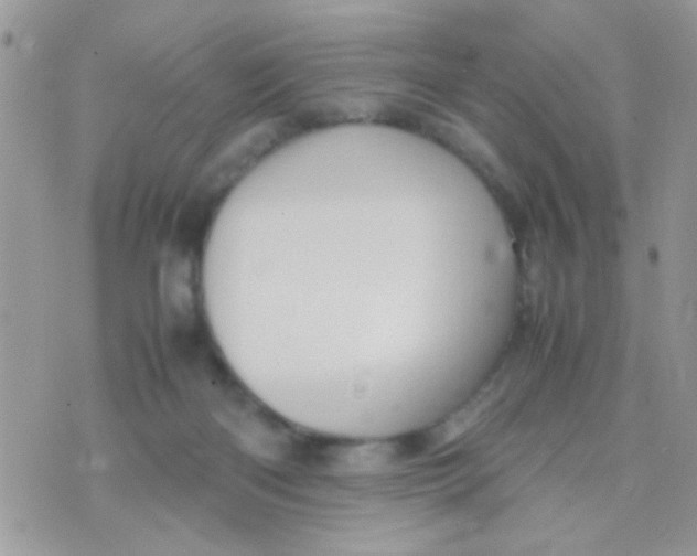 X0000070410122200606302046