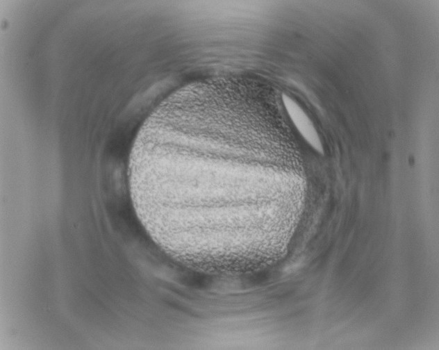 X0000070410123200606302046