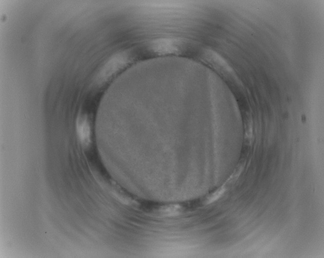 X0000070410124200606302046