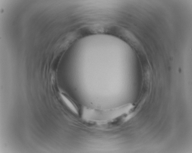 X0000070410125200606302046